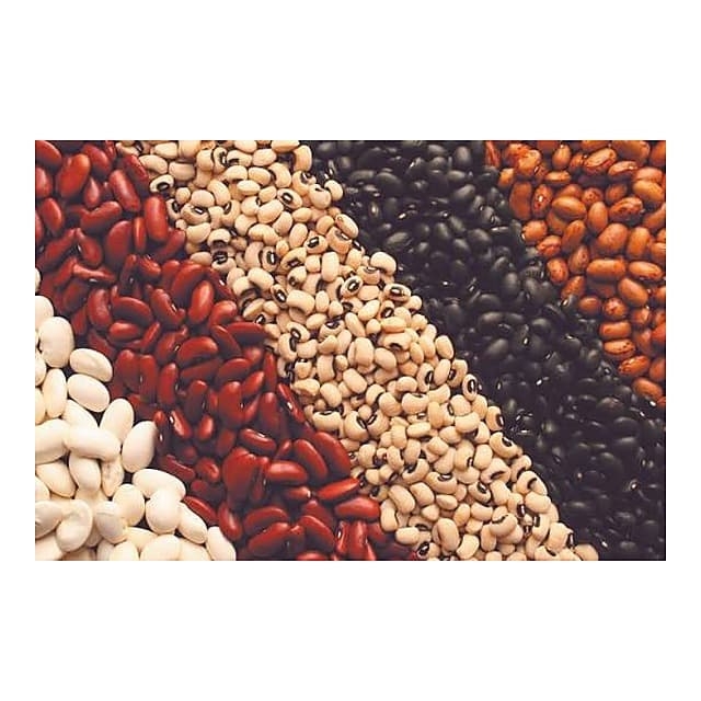 Beans & Grains